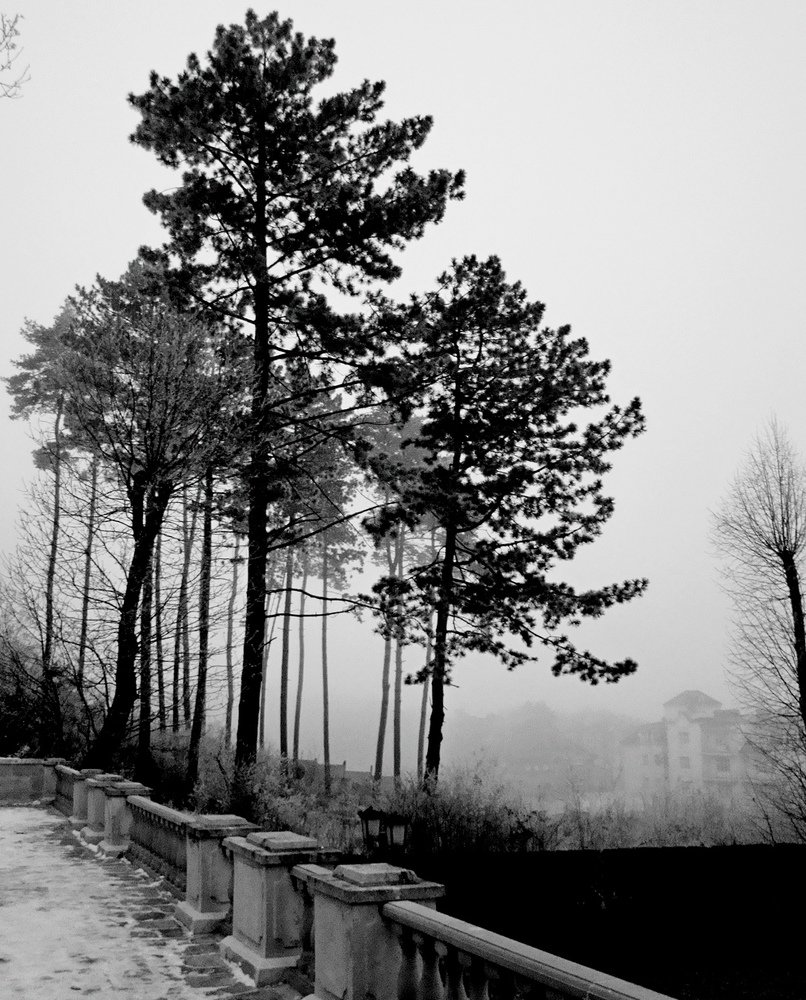 Туманное  декабрьское  утро....