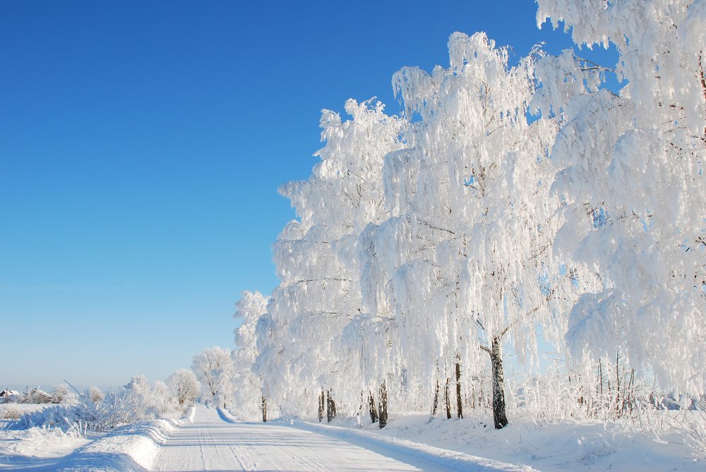 Фотография автора Linards Onzuls