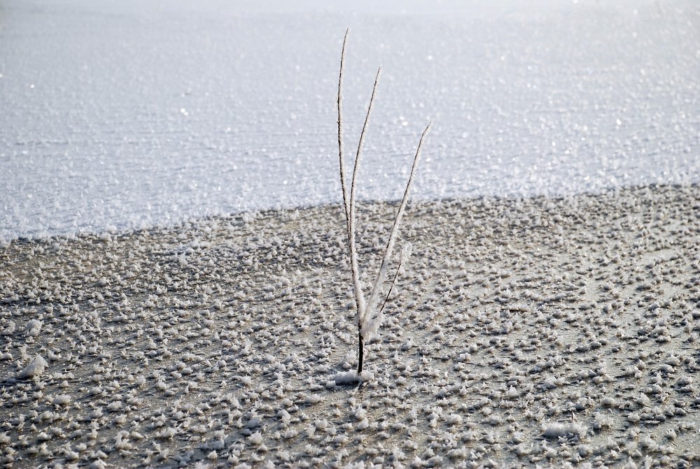 Фотография автора Linards Onzuls