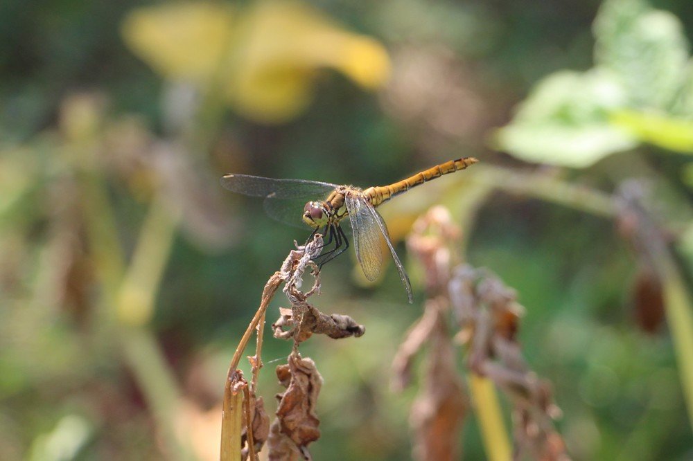 Photograph by Михаил Куракин