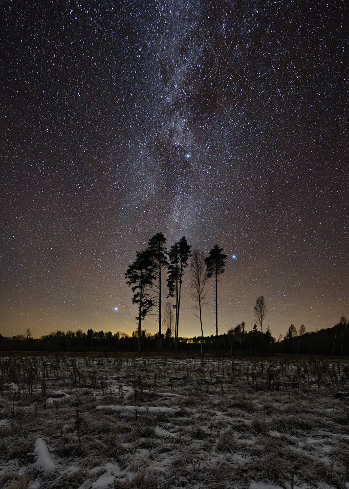 Photograph by Сергеев Сергей