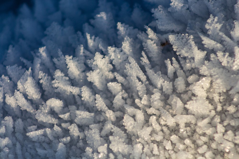 Фотография автора Анна Зосименко