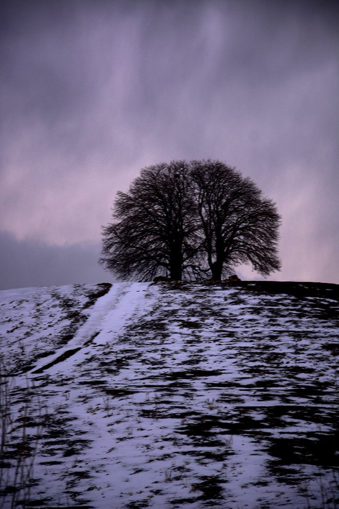 Photograph by milad moloodi
