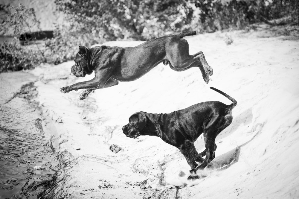 Фотография автора Дарина Матасова