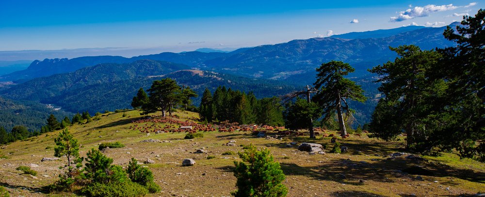 Photograph by Dimitris Sarracino