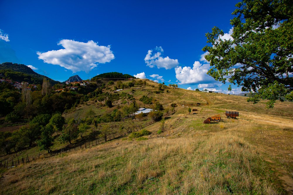 Photograph by Dimitris Sarracino