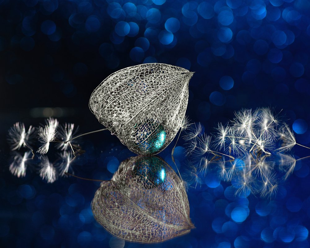 Фотография автора Андрей Сосновский