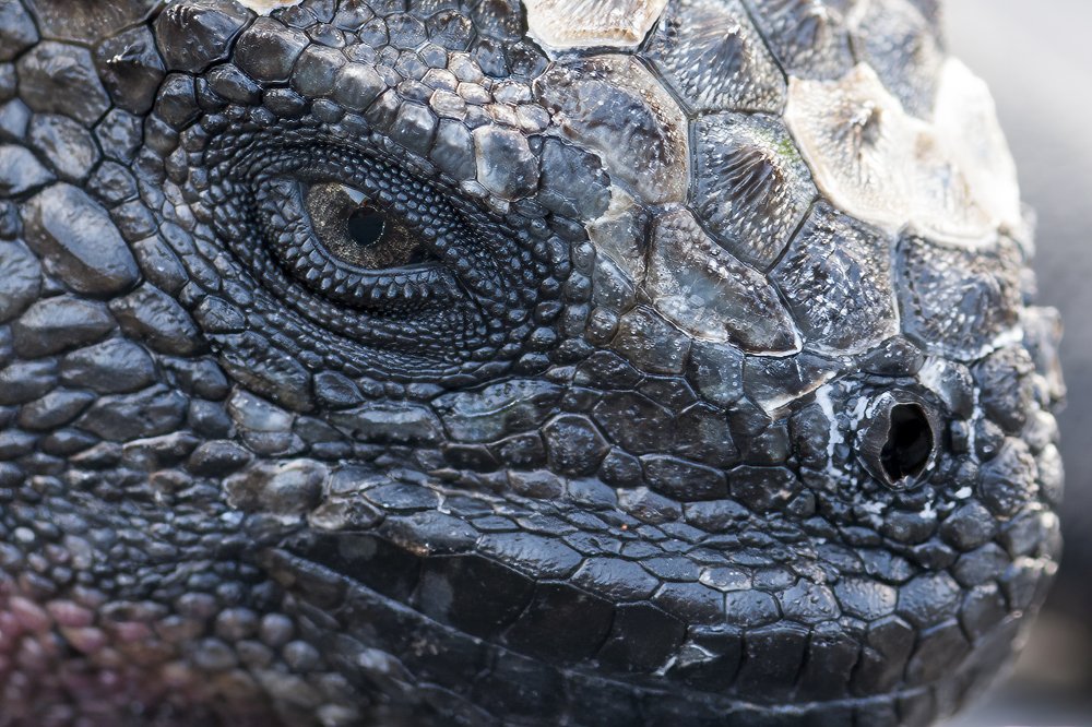 Photograph by Irina Grigoryeva