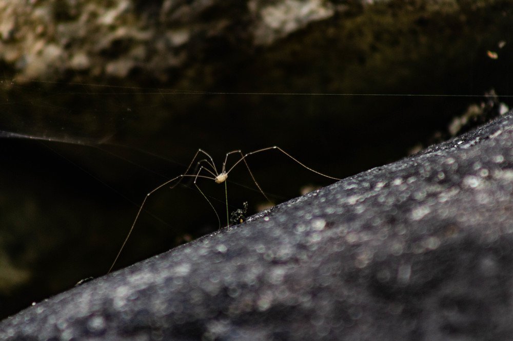 Фотография автора Анна Зосименко