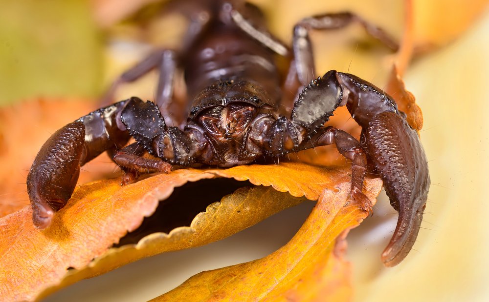 Photograph by Олег Урасов