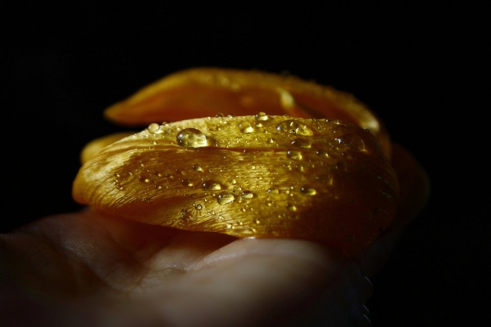 Photograph by Гульжан Шарипова