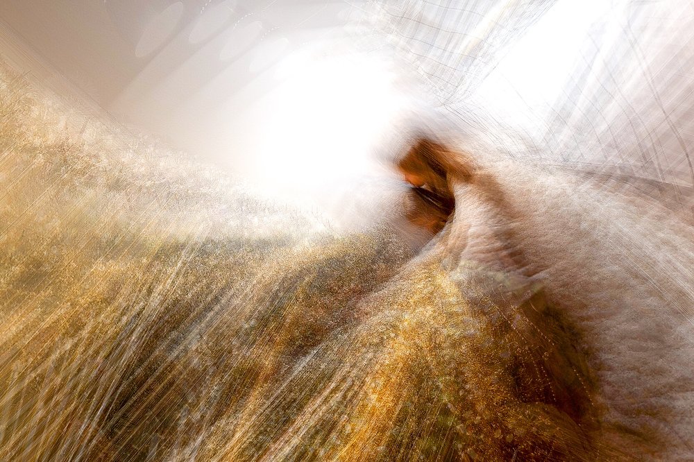 Photograph by Анна Волкова