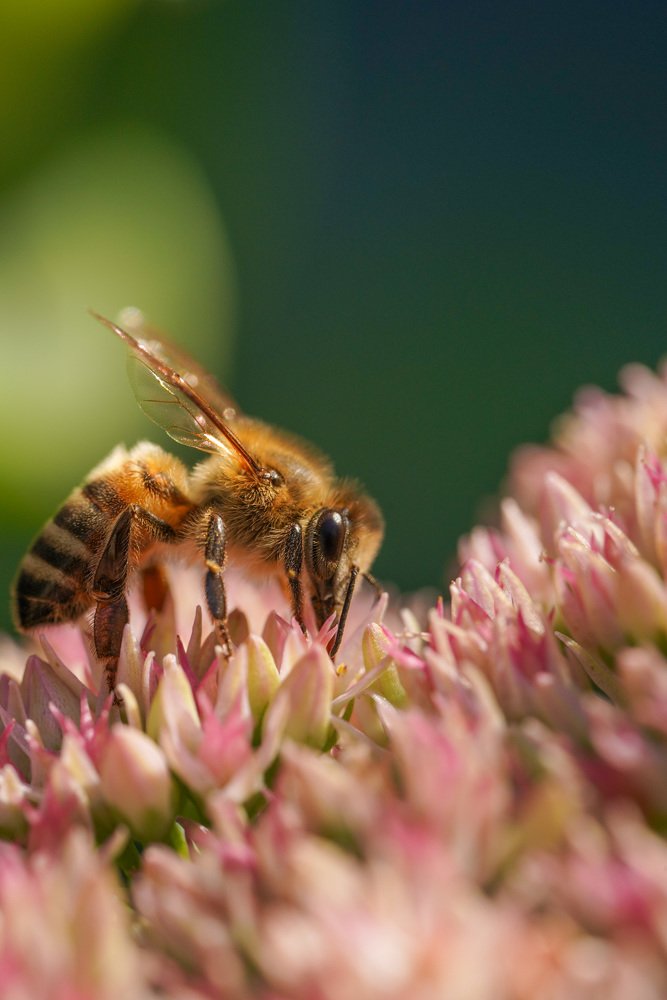 Photograph by Марина Беликова