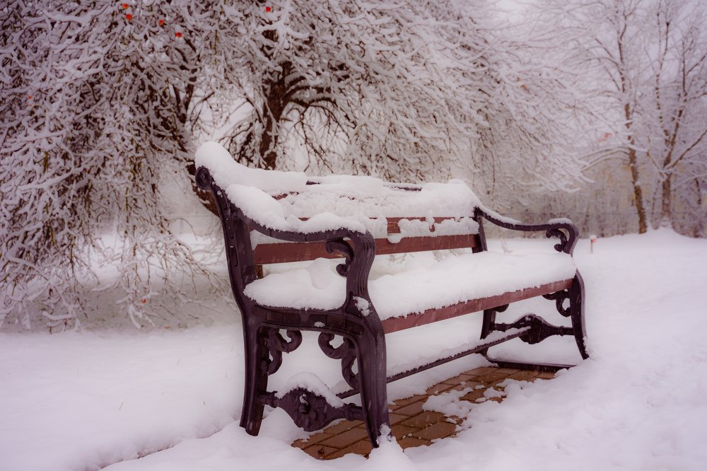 Photograph by Vlad Maslakov