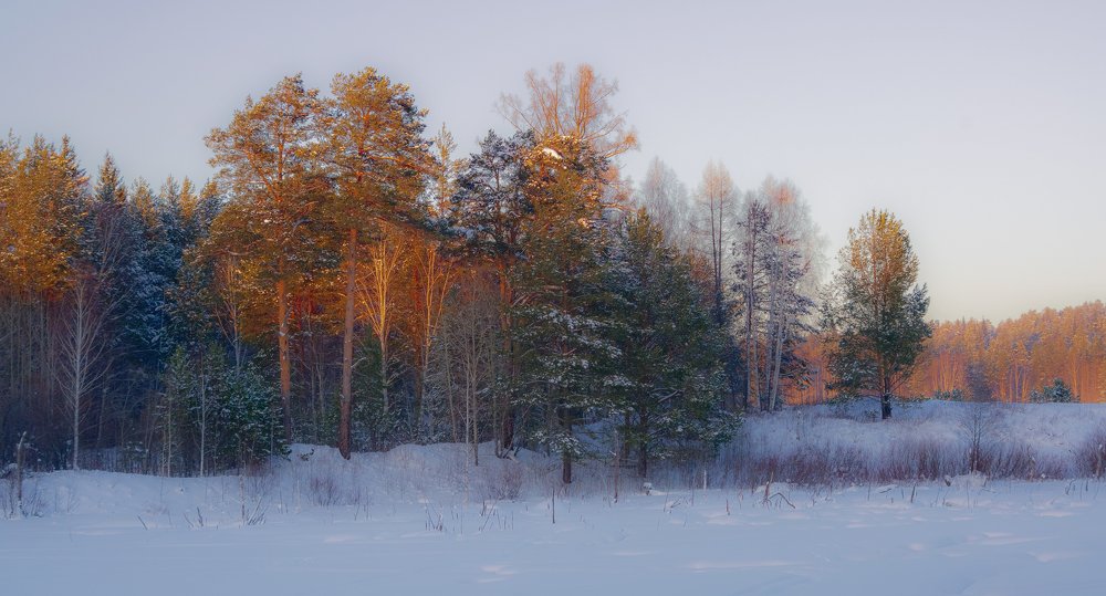 Photograph by Павел Волков