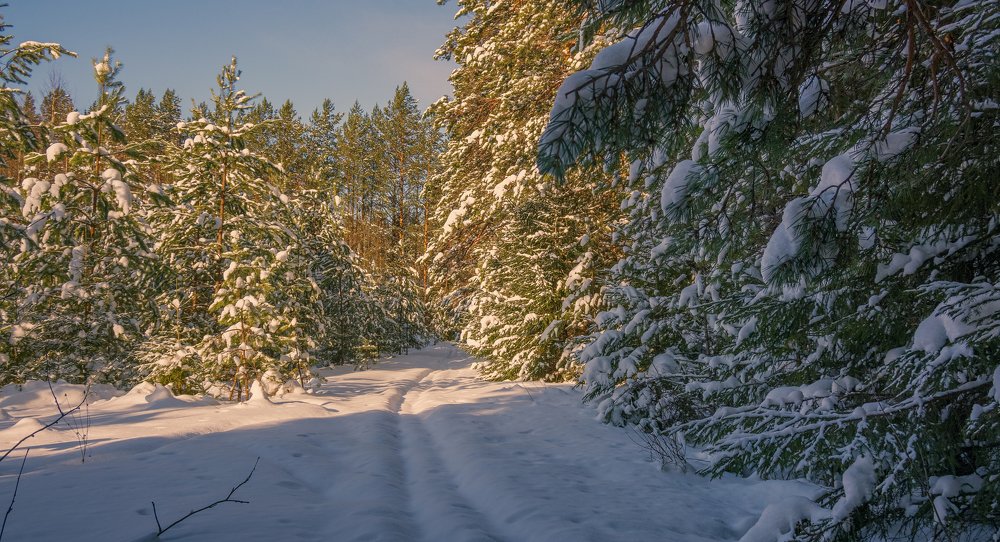 Photograph by Павел Волков