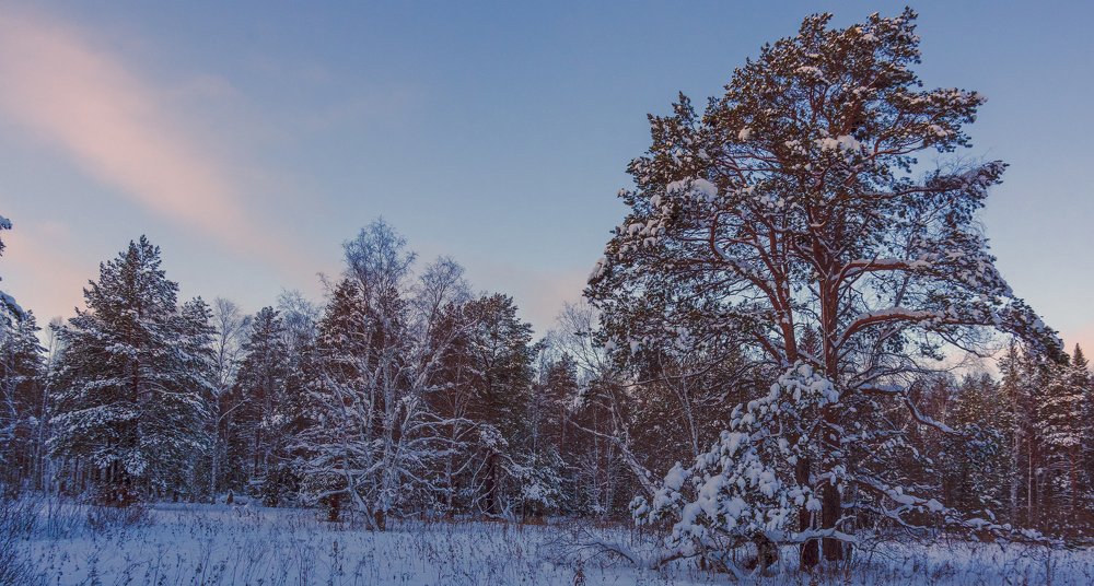 Photograph by Павел Волков