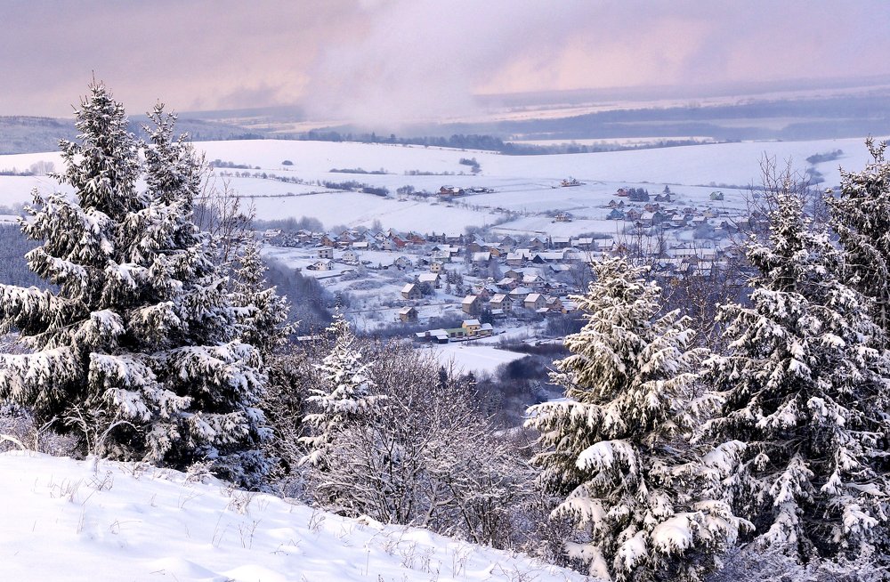Фотография автора František Tóth