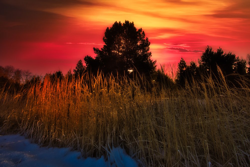 Зимний закат