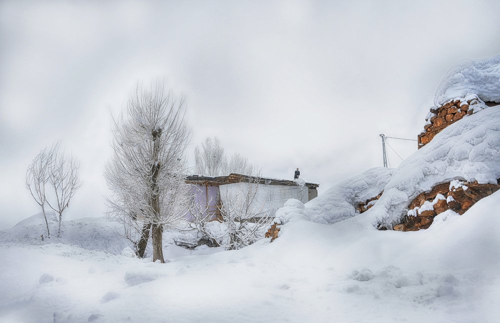 Фотография автора AYLIN EROZCAN