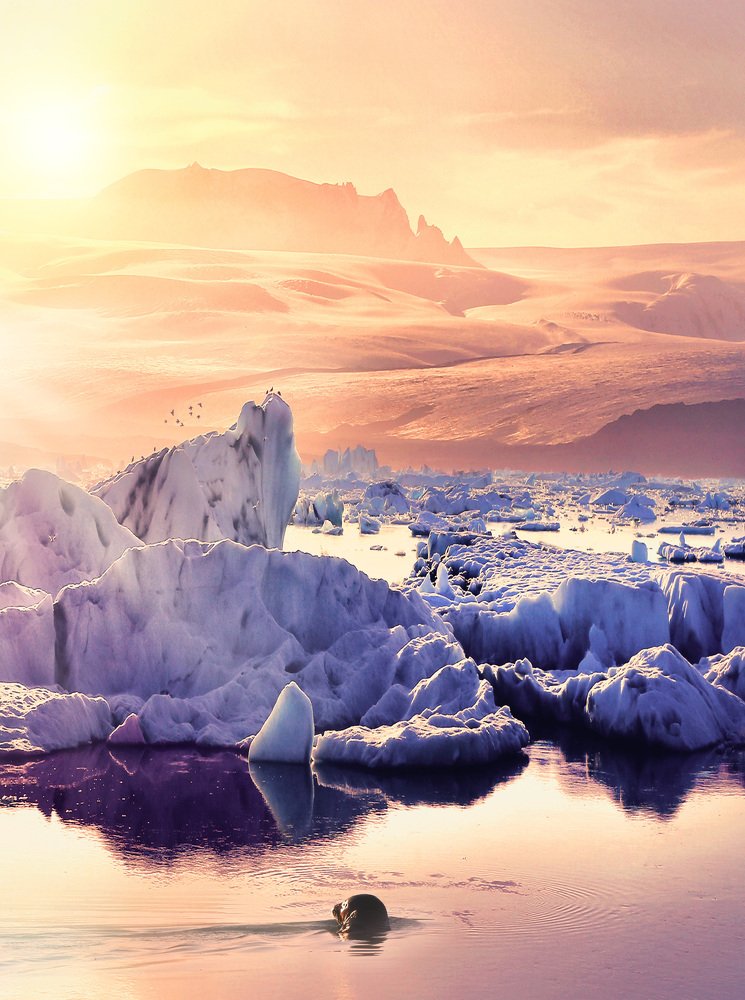 Фотография автора František Tóth