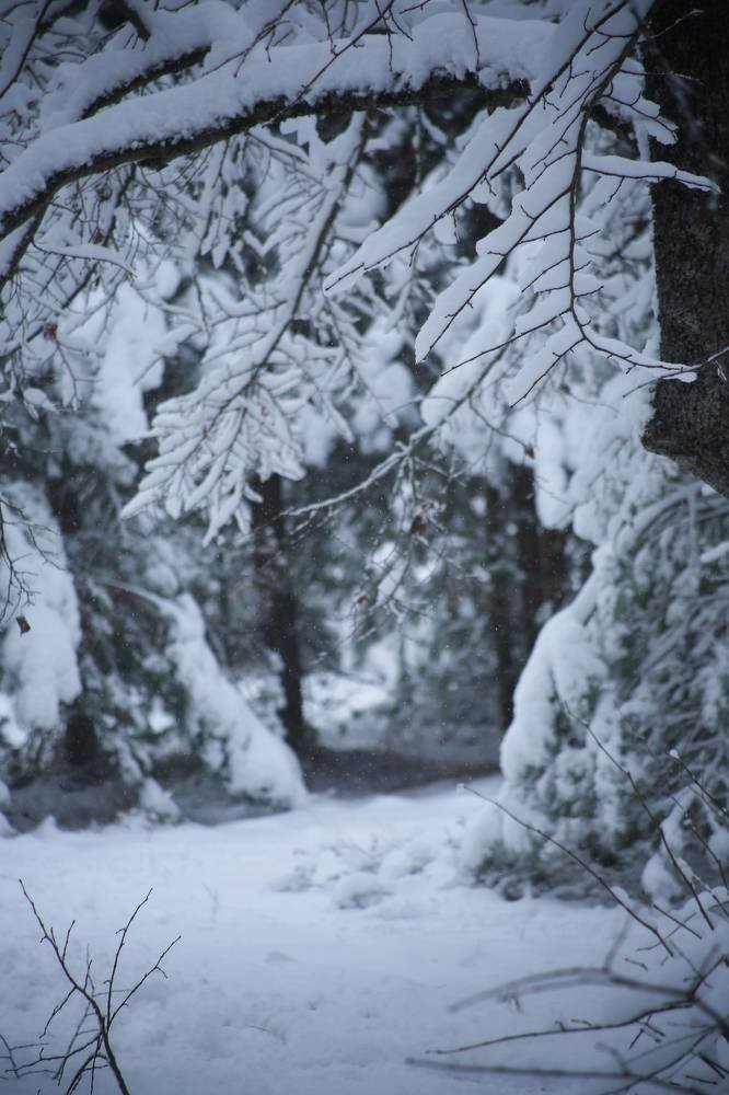 Photograph by Елена Хорошильцева