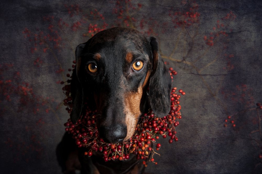 Photograph by Heike Willers