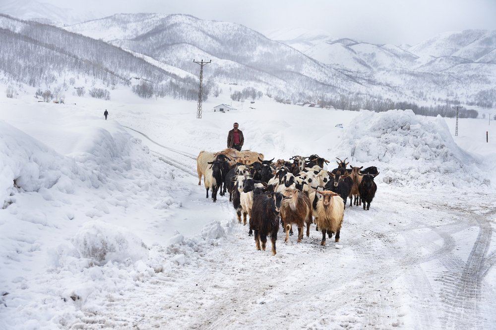 Фотография автора AYLIN EROZCAN