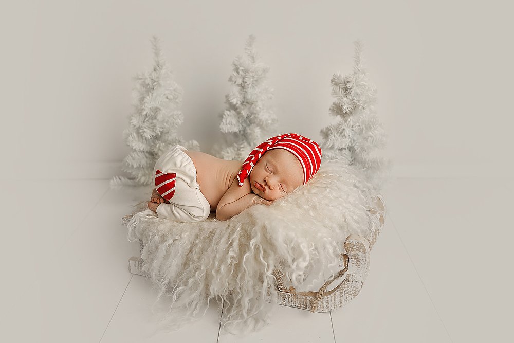 Photograph by Olga Lebedeva