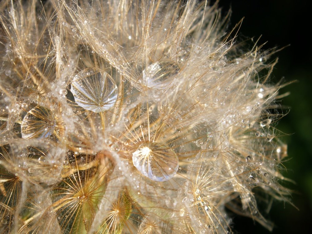 Photograph by Гульжан Шарипова