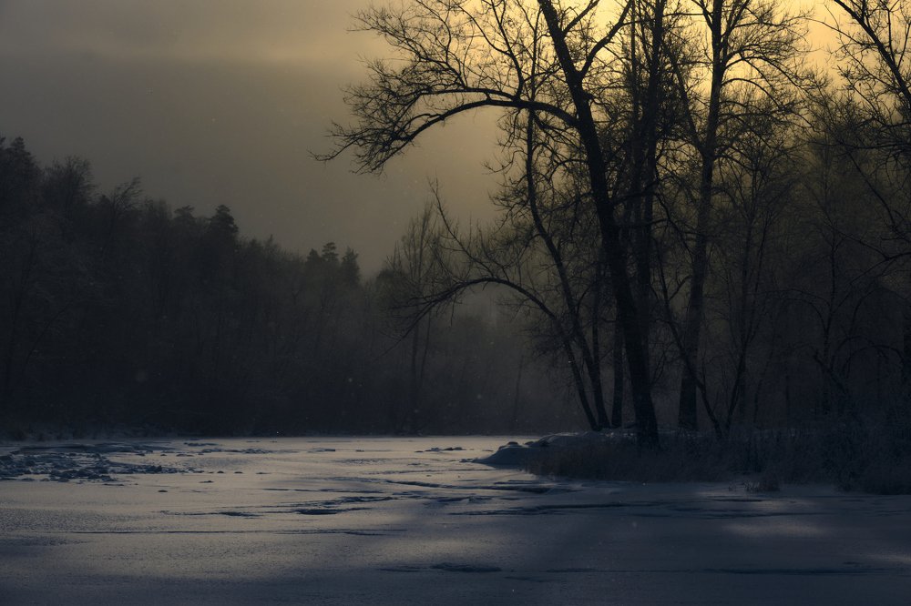 Photograph by Евгений Пташко