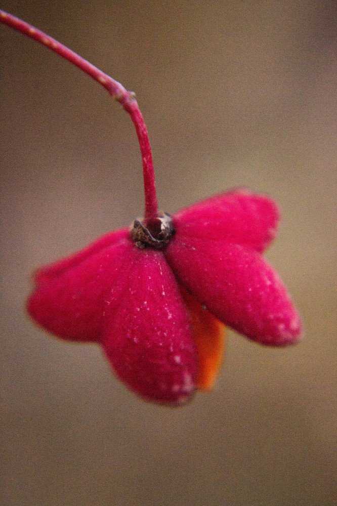 Photograph by Татьяна Куликова