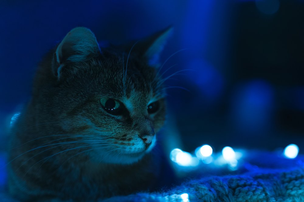 Photograph by Полина Артемина