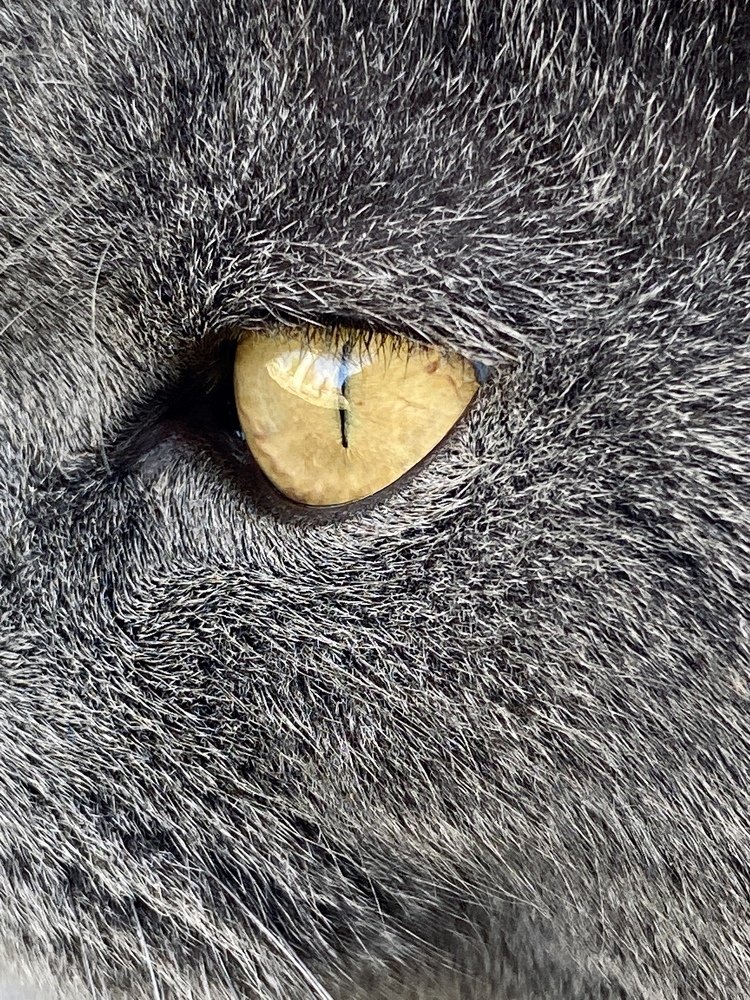 Photograph by Юлия Сушко