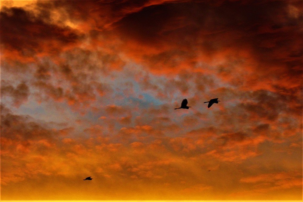 Photograph by Wan Moraez