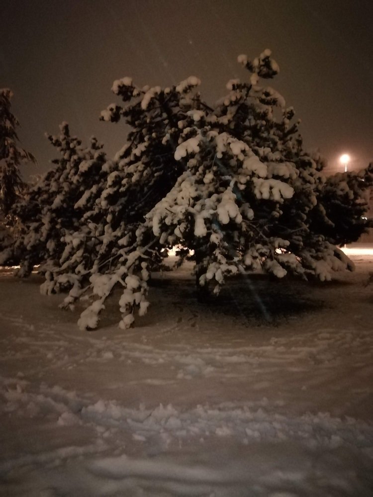 Фотография автора Biljana Janković Veličković