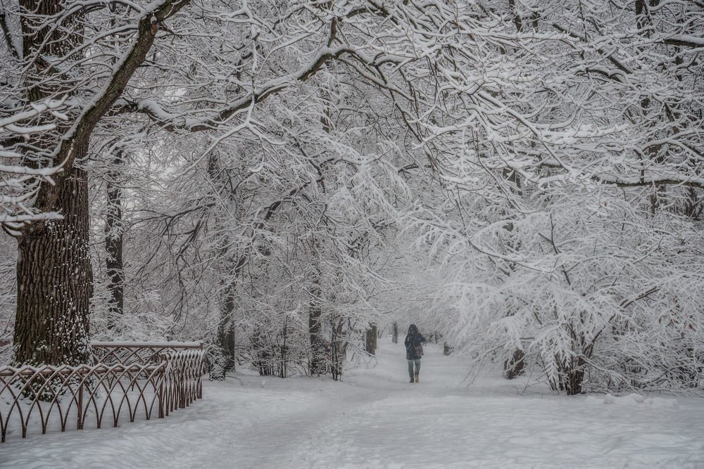 Уходя в зиму