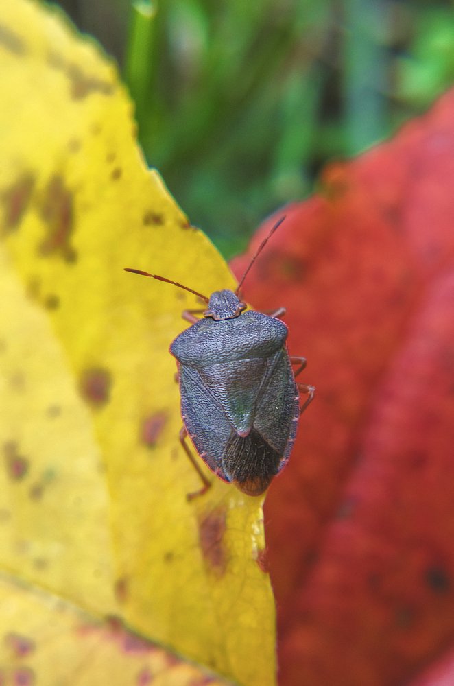 Photograph by Ekaterina Fadeeva