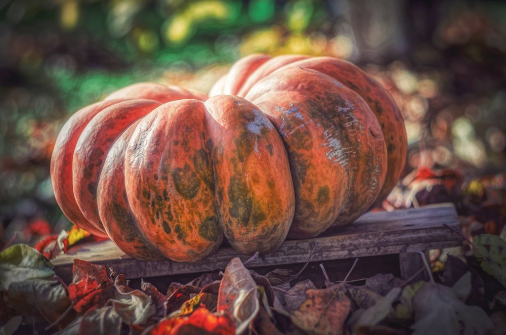 Photograph by Ekaterina Fadeeva