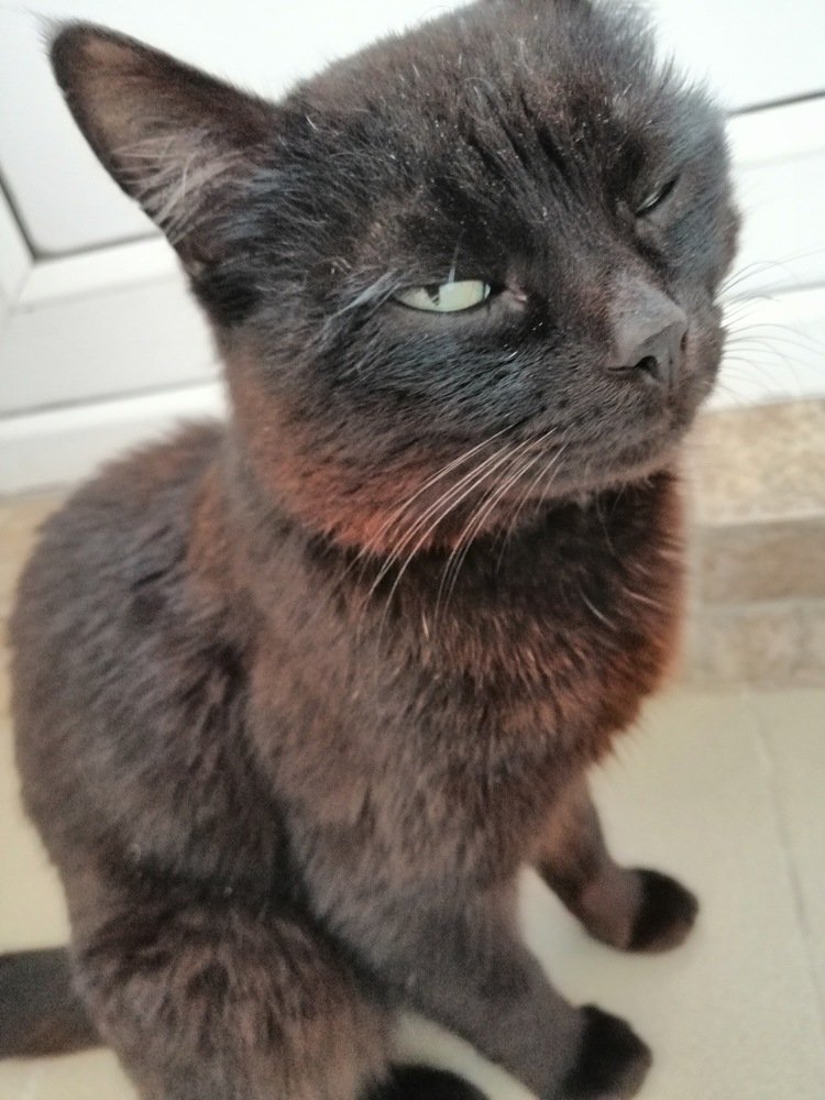 Photograph by Татьяна Чарушина