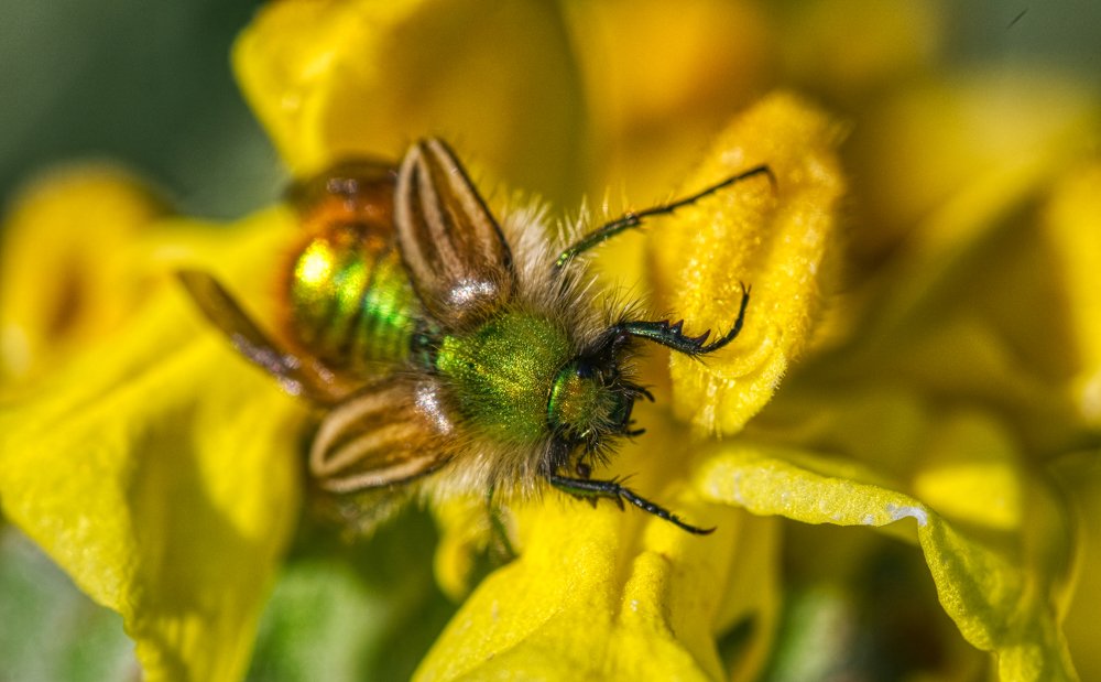 Photograph by Geo Lib