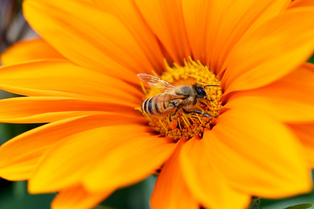 Photograph by Ehab Magdy