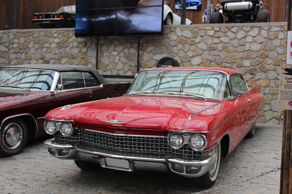 Photograph by Елена