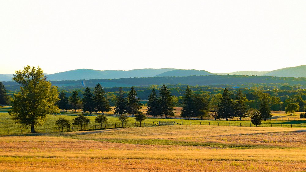 Photograph by Gargee Chowdhury