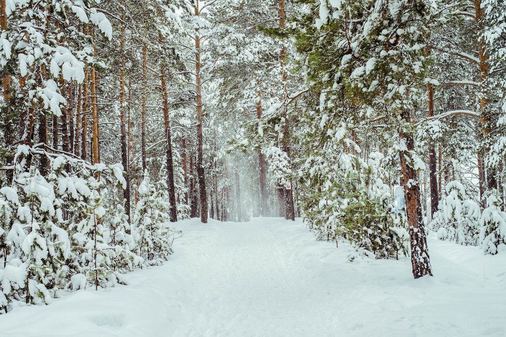 Photograph by Наталья Лещинская