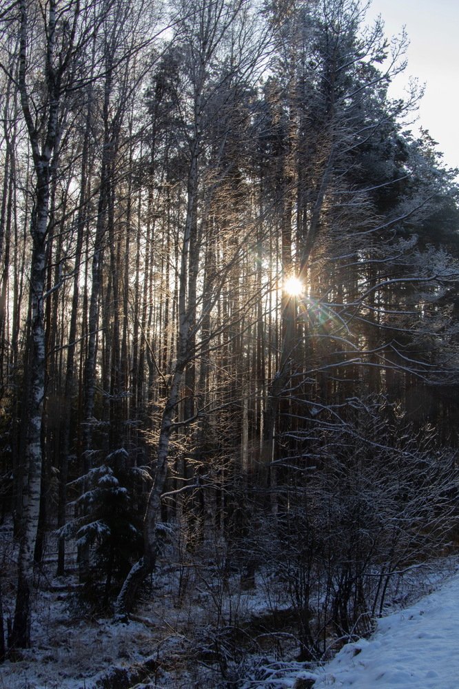 Photograph by Евгений Михеев