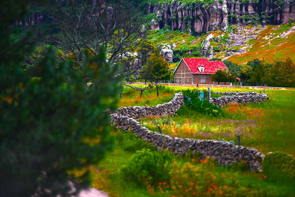 Florencia, Zacatecas
