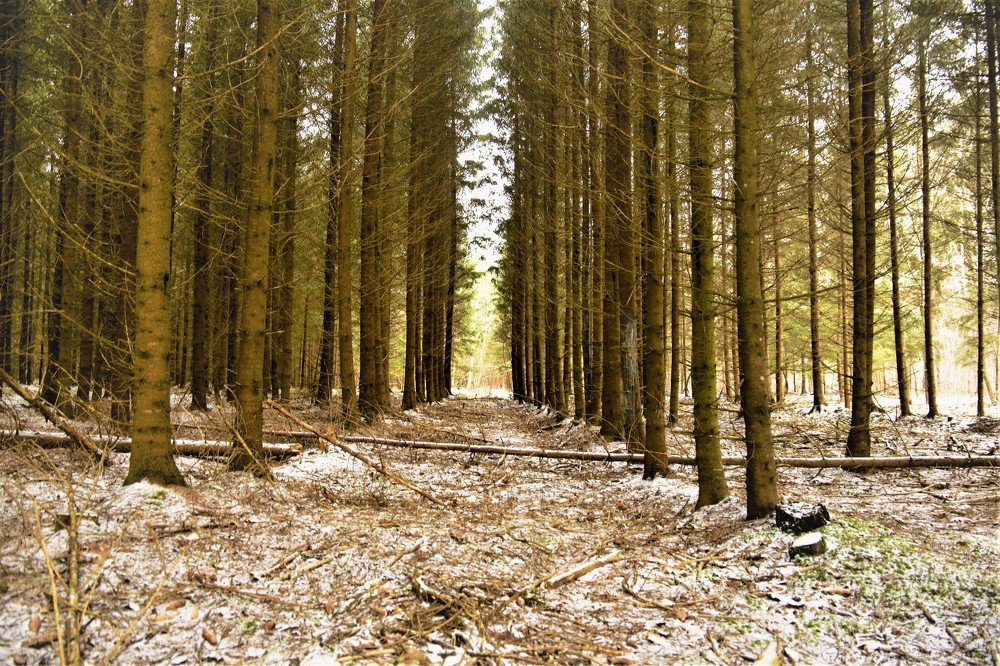 Photograph by Alvydas Baltakis