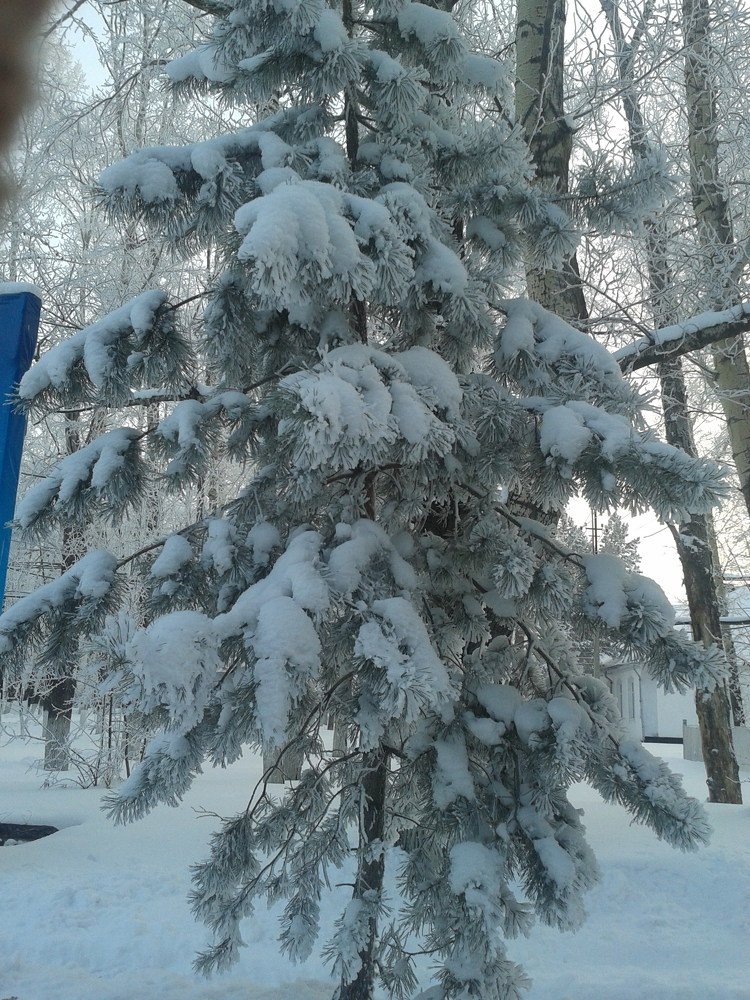 Photograph by Елена