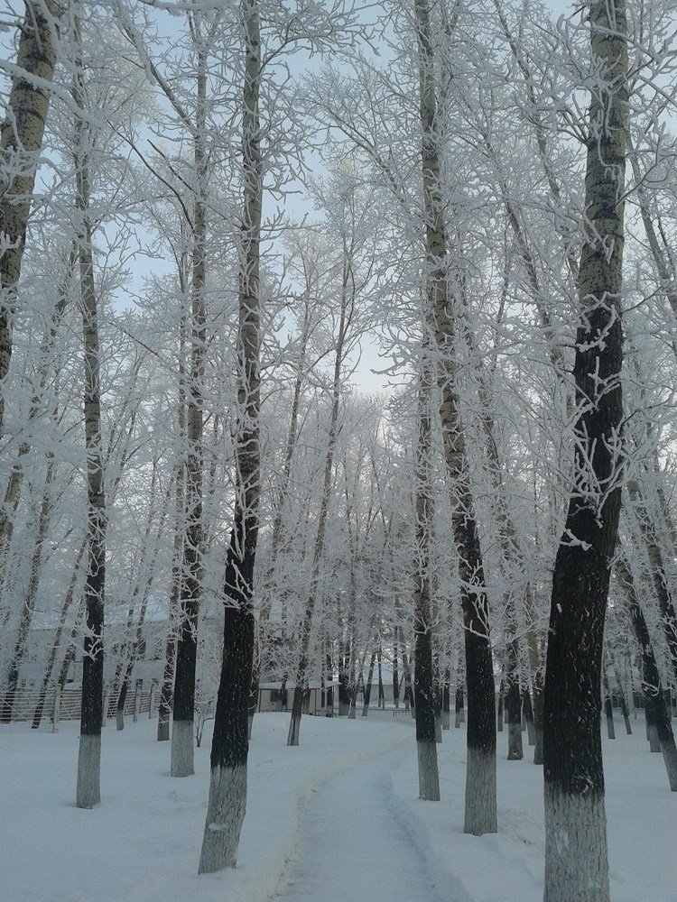 Photograph by Елена